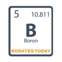 Boron-Logo